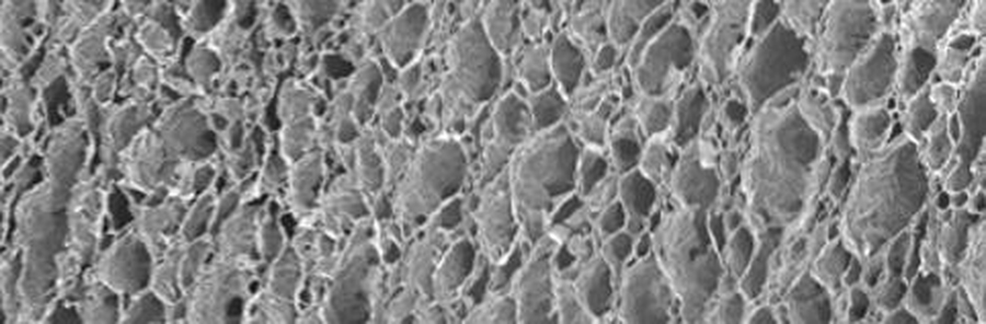 Scanning electron micrograph of the graphene foam structure